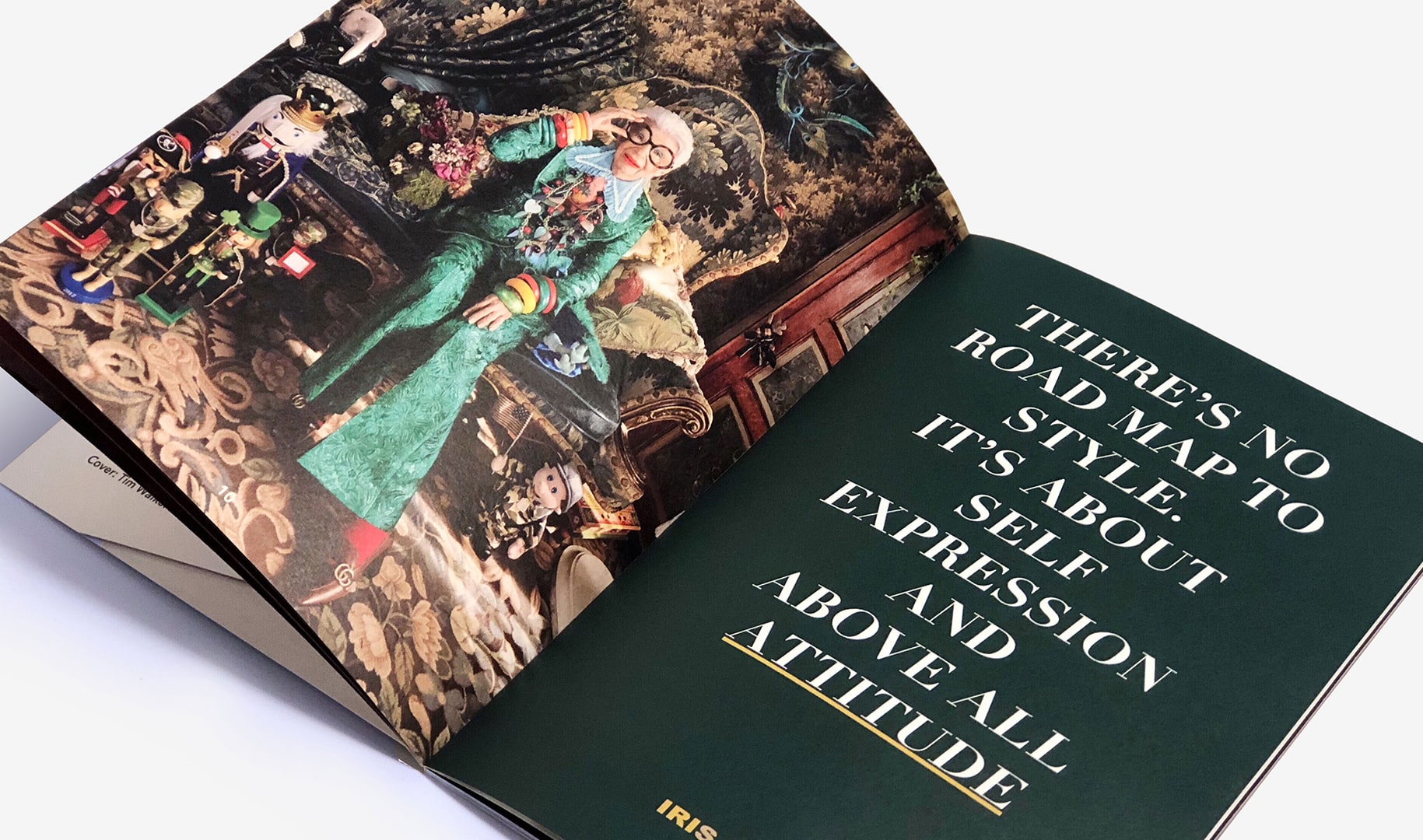 The Maximalist Lookbook — Design