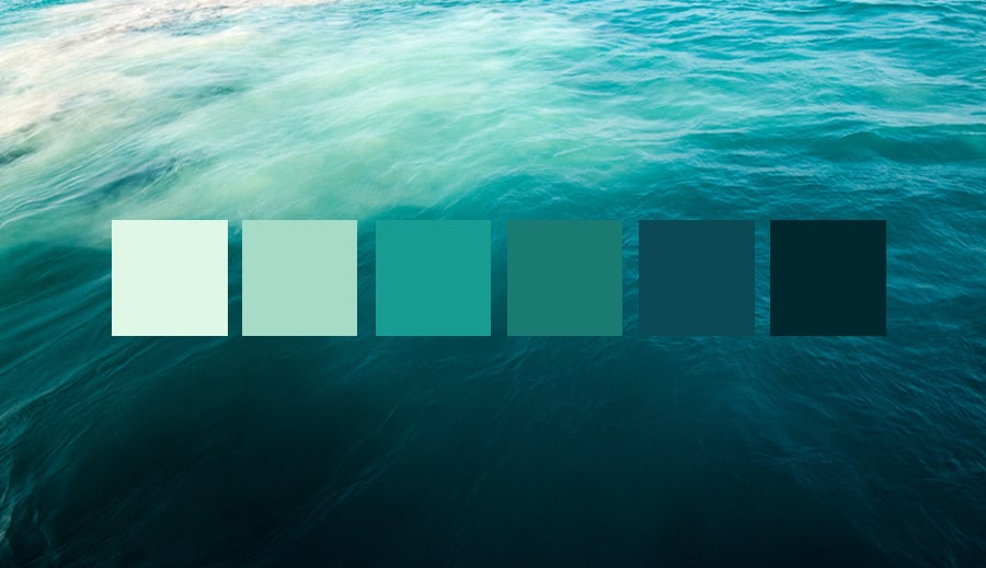 World Ocean Initiative – The Economist — image 6