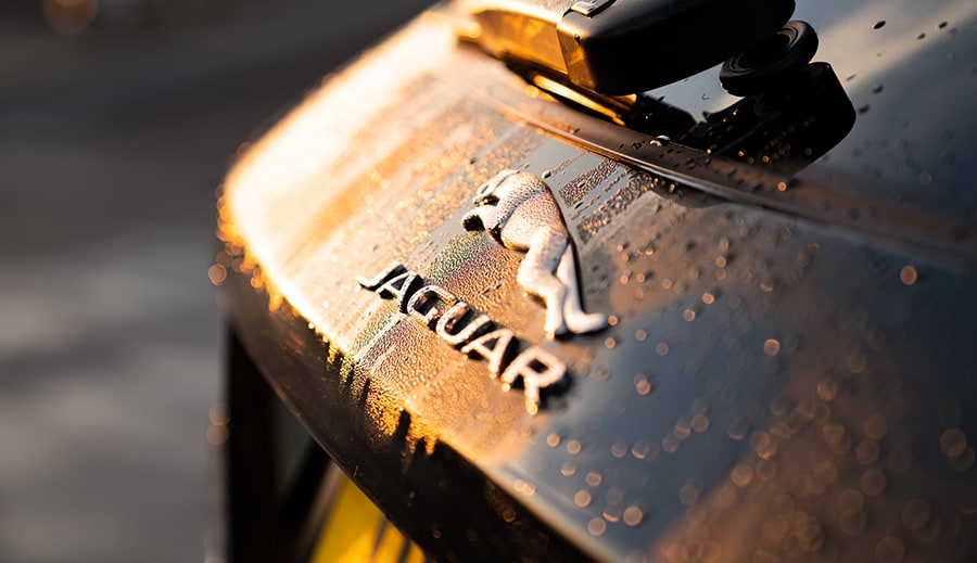 The British Collection – Hertz — image 3